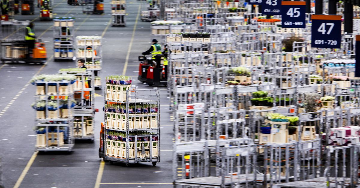 Exports from the Netherlands to Russia almost halved last year