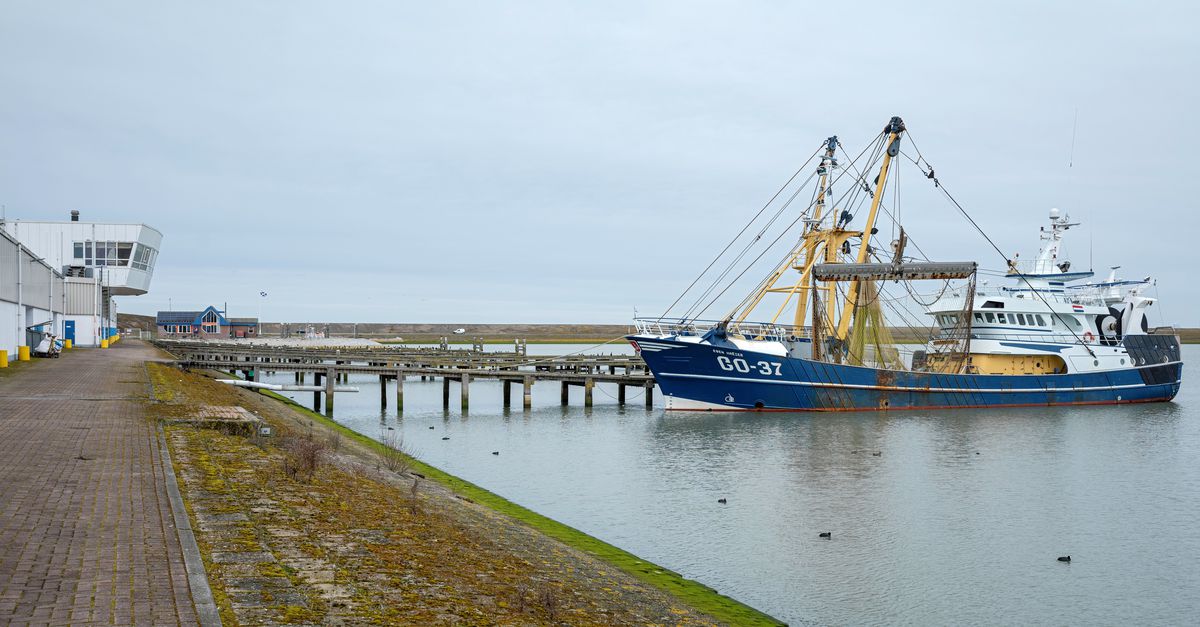 Een boomkorkotter verbruikt wekelijks 21.000 liter rode diesel: ‘De prijs is verdubbeld, reken maar uit’