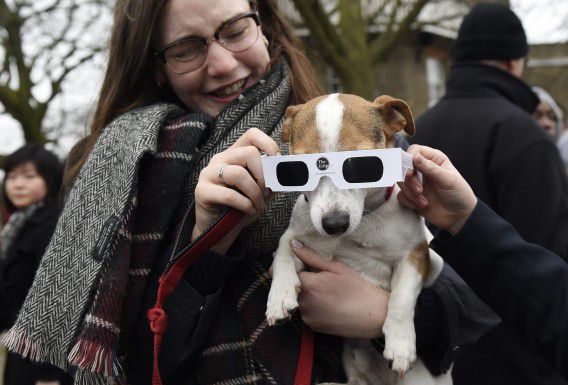 Leer dit weekend in Utrecht alles over de zon. Dit hondje doet alvast even voor hoe je naar een zonsverduistering dient te kijken.