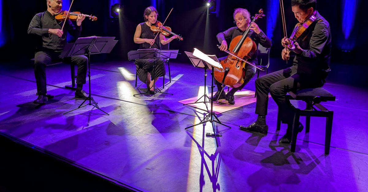 Meer dan vijftig jaar in een strijkkwartet: ‘Je werkt, leeft en ademt samen’