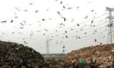 Vuilnisbelt in Bangladesh. Uit afvalhopen komt methaan vrij.