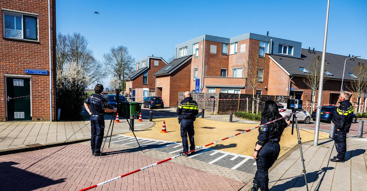 Politie arresteert 36-jarige man in Duitsland in verband met aanslag op politiemedewerker in Schoonh