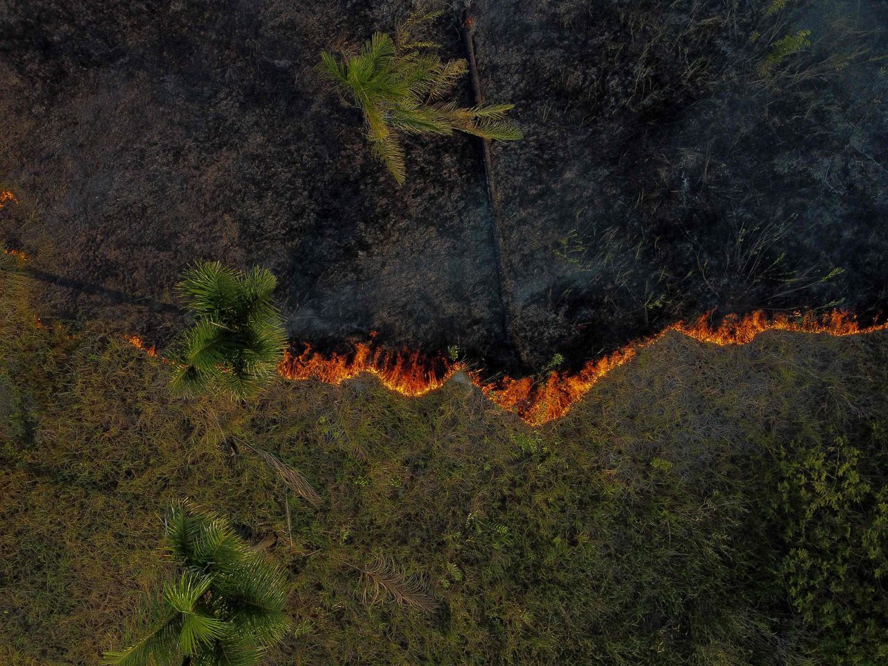 Het Braziliaanse Amazonegebied beleefde de afgelopen zes maanden de meeste bosbranden in twintig jaar 