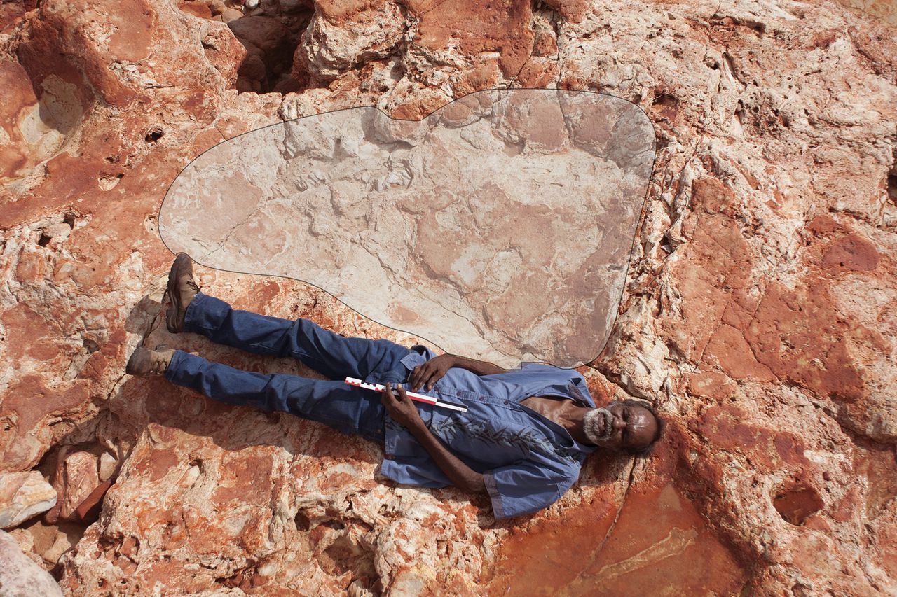 Grootste dinovoetafdruk ooit gevonden in Australië 