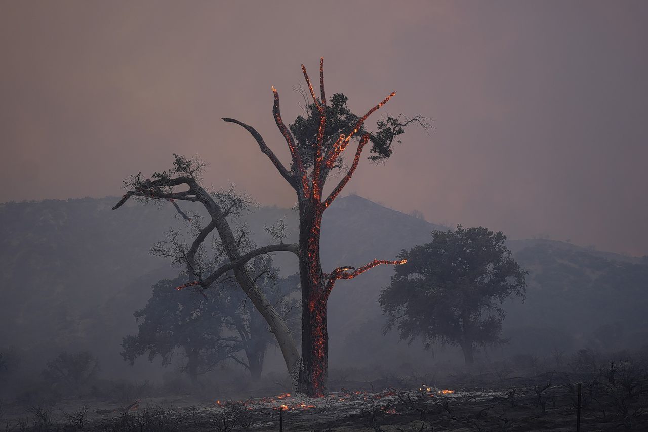 Californische natuur wordt weer geteisterd door natuurbranden 
