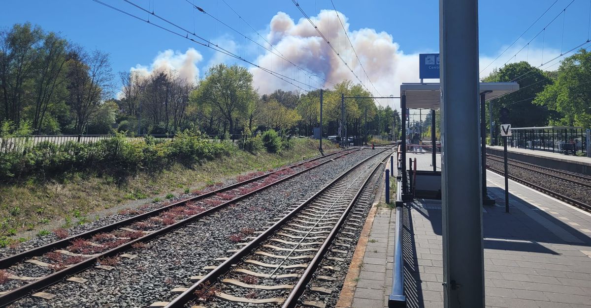 In ’t Harde, dichtbij waar de natuurbrand is ontstaan, is de lucht strakblauw. De oostenwind blaast 