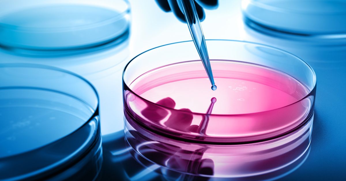 科学者が自分の乳がんにウイルスを注射し、治癒する