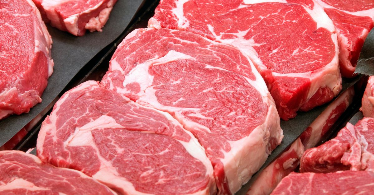 Minder vlees is ook gezonder voor toekomstige generaties