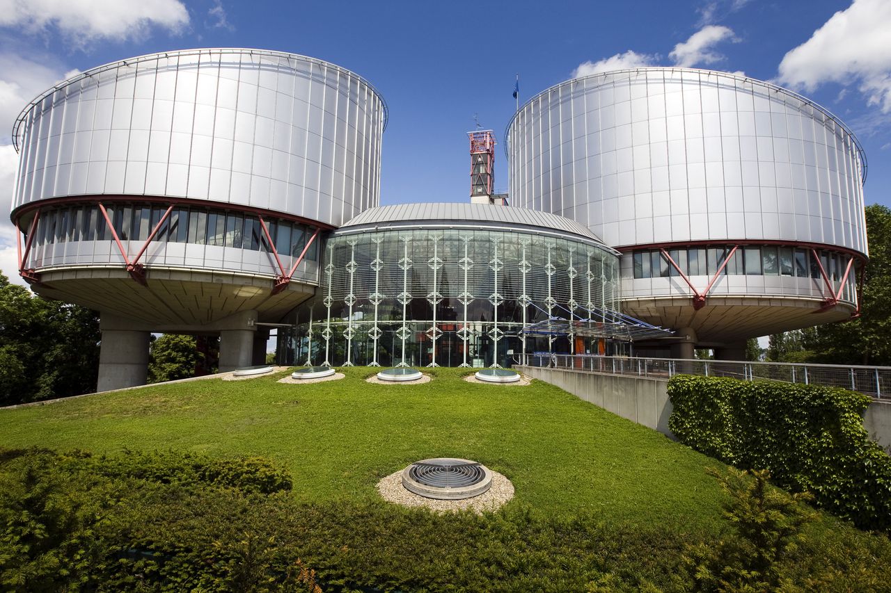 Het Europees Hof voor de Rechten van de Mens.