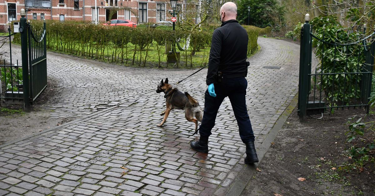 Wie is de flamboyante ondernemer Salar A., die verdacht wordt van witwassen? - NRC.