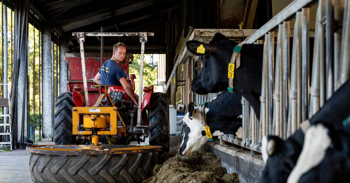Laarzen aan, koeien de wei in, ligboxen schoonmaken: op de boerderij gaat het werk door