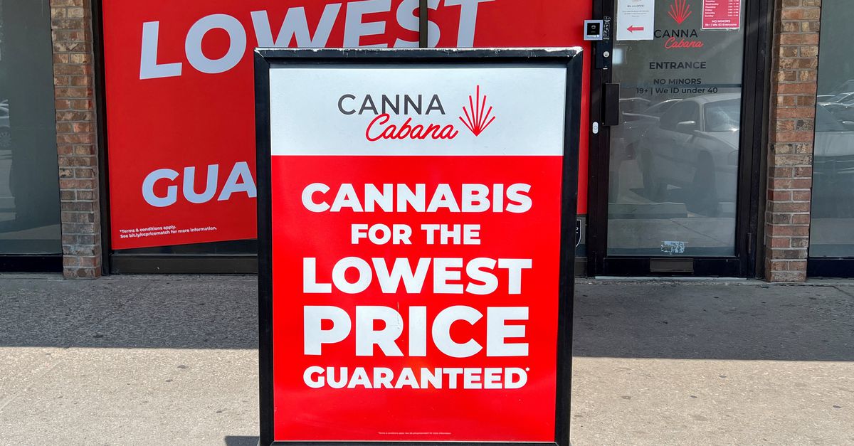 Nederland wordt overspoeld met &#8216;legale&#8217; wiet uit Canada