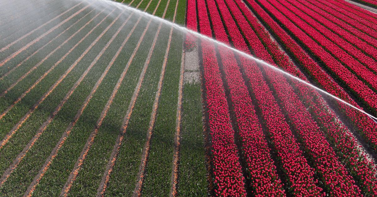 April is uitzonderlijk droog, en de bodem had al amper regen gehad om te herstellen