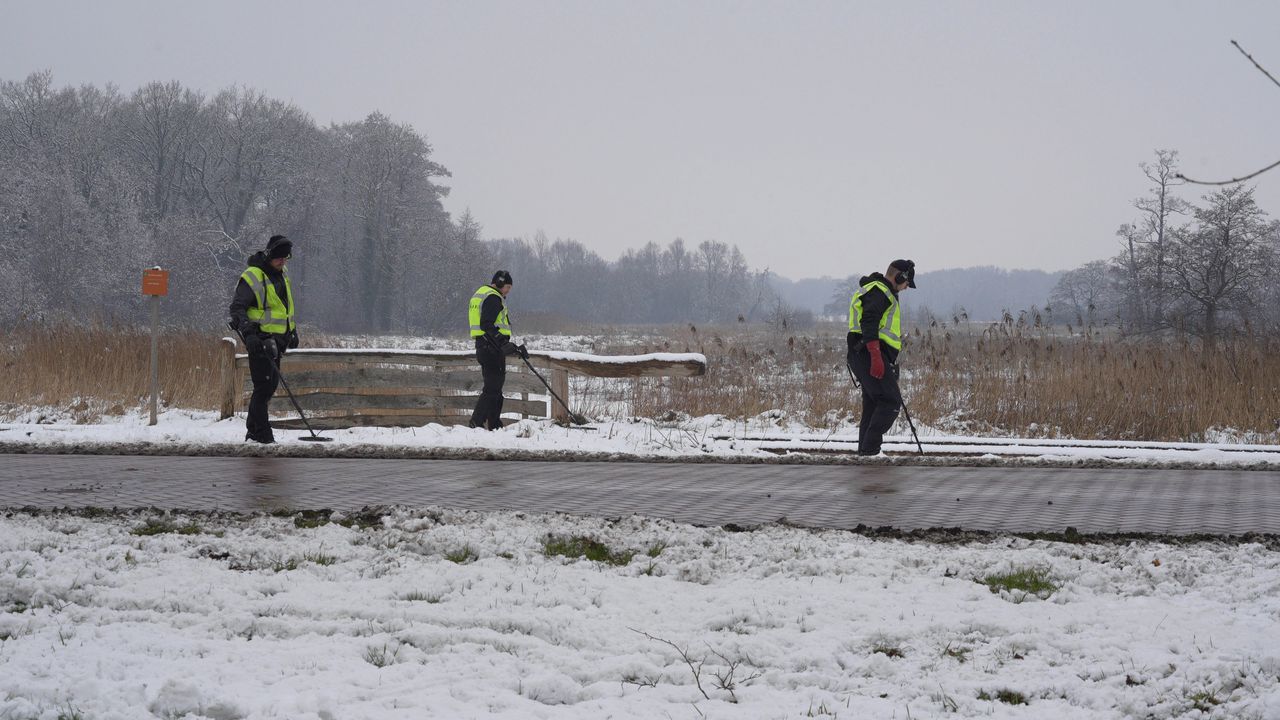 De gouden Dacische helm werd precies een jaar geleden gestolen. Hoe staan de zaken ervoor?
