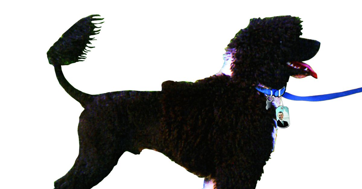 The First Dog en zijn soortg enoten NRC