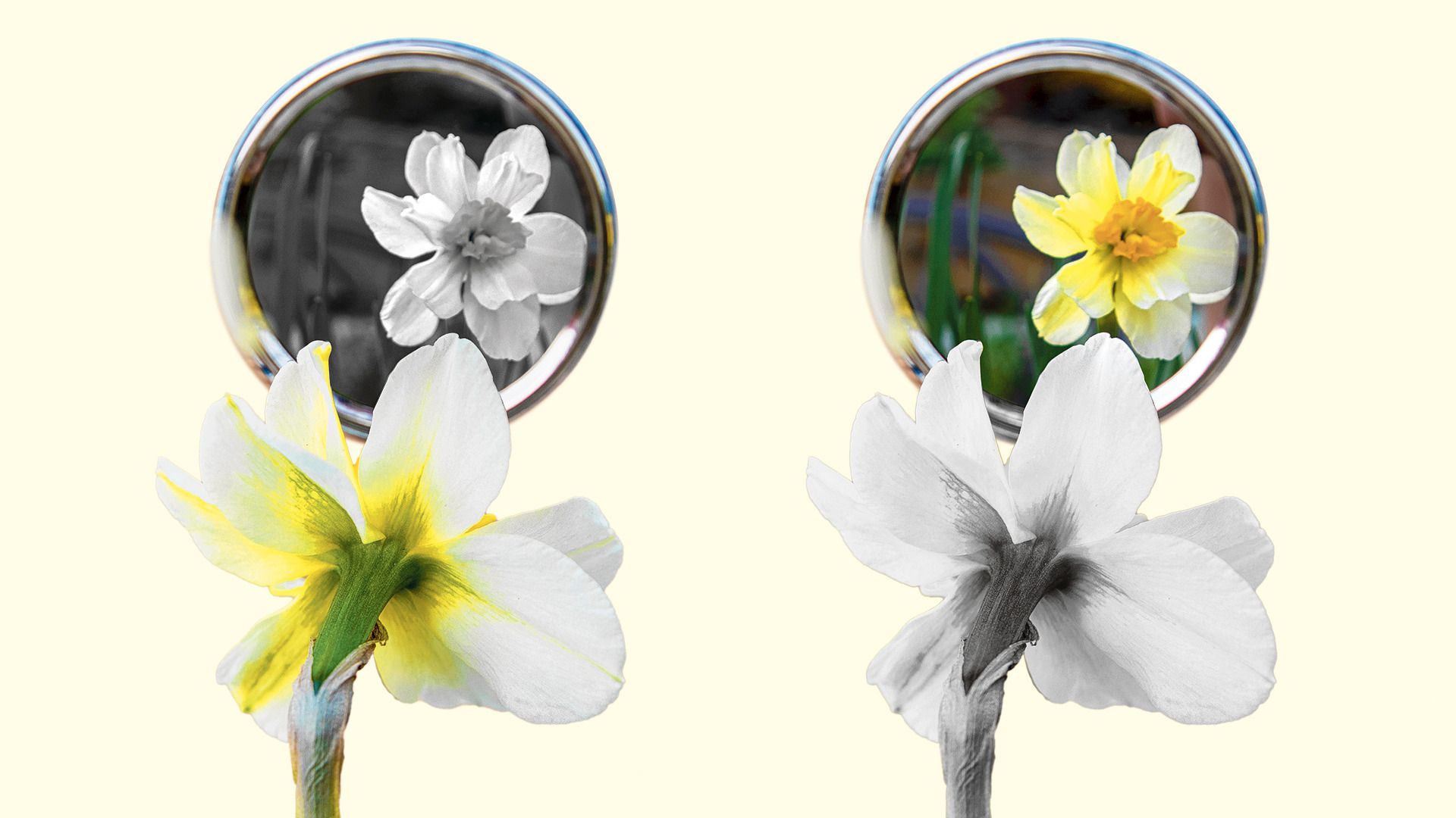 Bas Heijne las Christopher Lasch’ klassieker over het narcisme en ziet