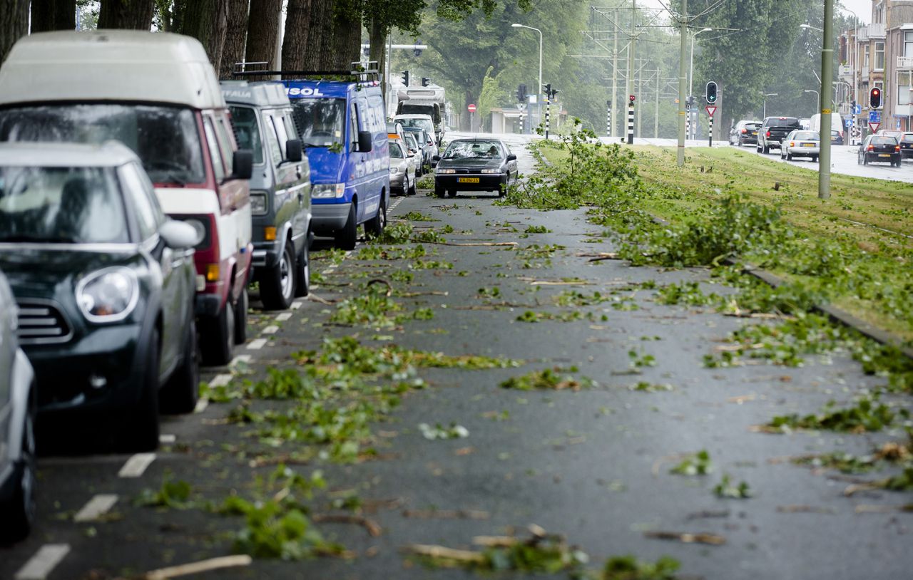 Snelwegen weer vrij na storm - 'ga vandaag niet het bos in' - NRC