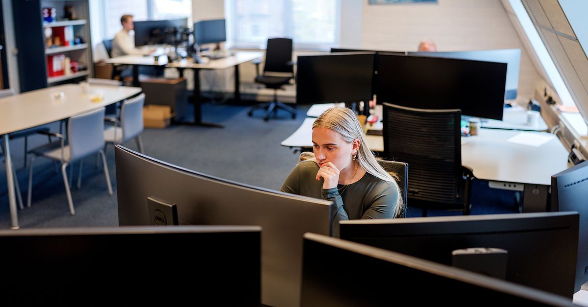 Nepwebshops leiden tot massale internetoplichting