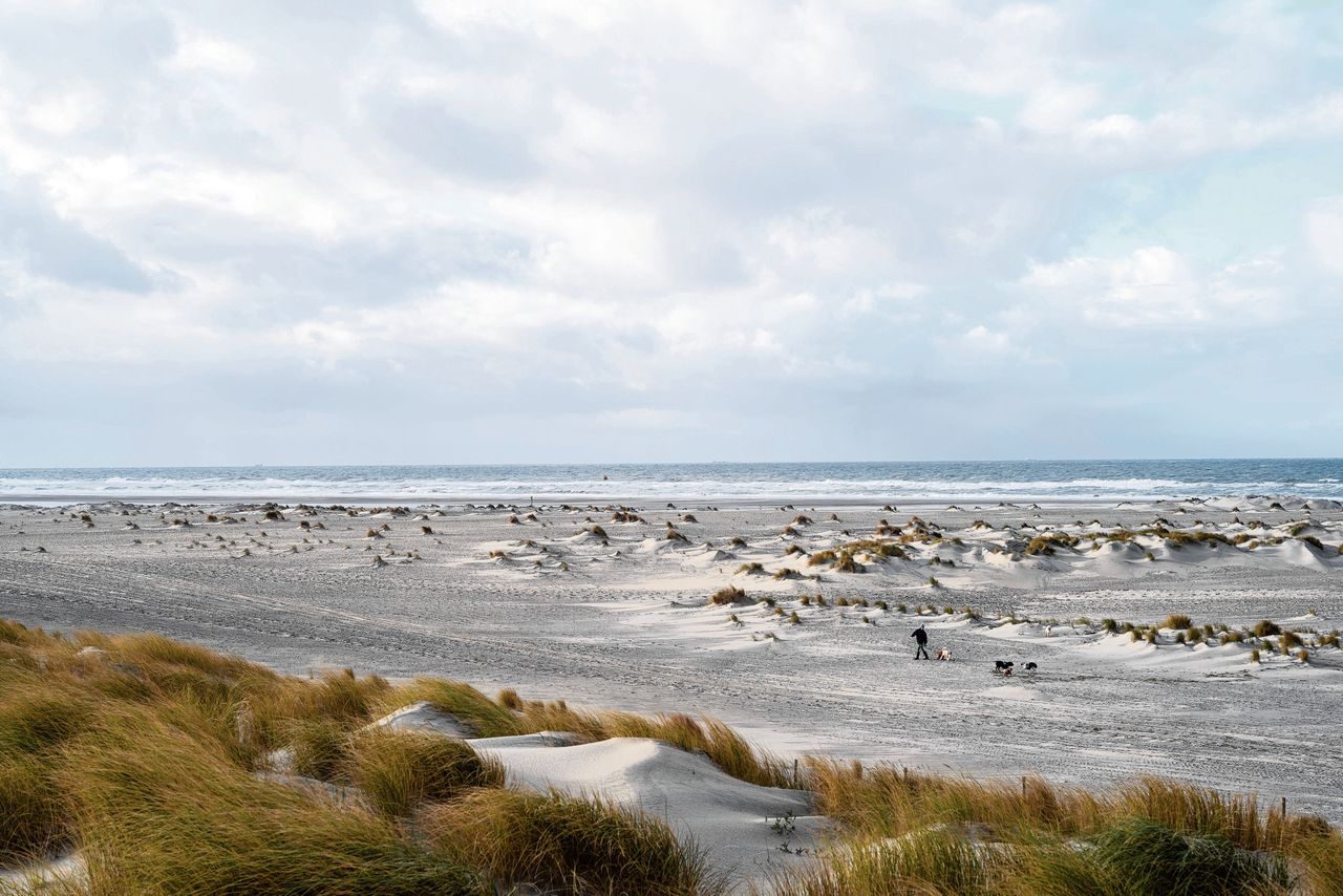Kustaangroeiproject de Zandmotor bij Ter Heijde in Zuid-Holland