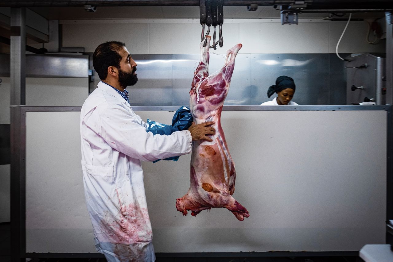 De ‘eerlijke halalslager’ Abderrahim Bouna wil zelf zien hoe zijn dieren opgroeien, voordat ze naar de slacht gaan.