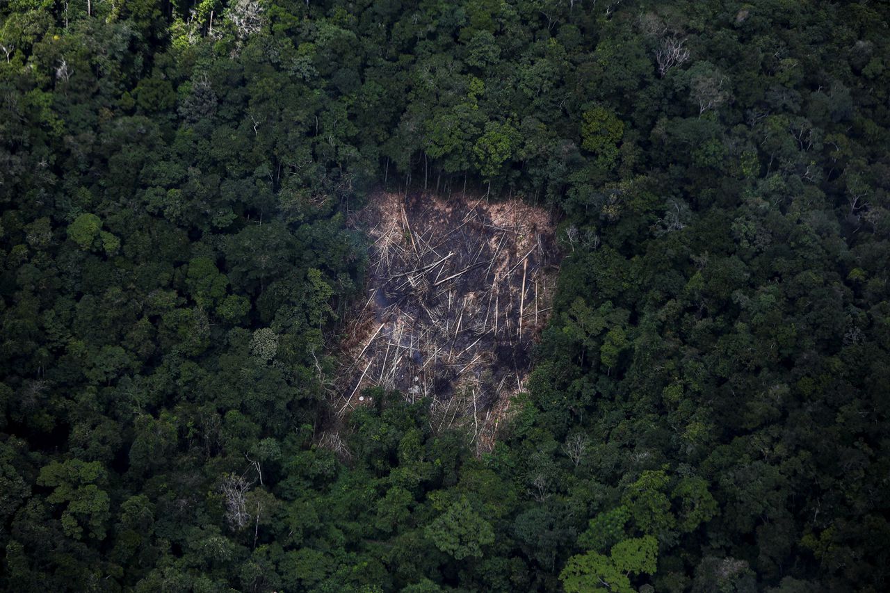 Ontbossing in de Braziliaanse deelstaat Roraima, op een luchtfoto uit februari 2023.
