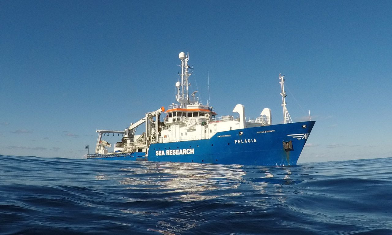 Wat je tegenkomt op expeditie in de diepzee 