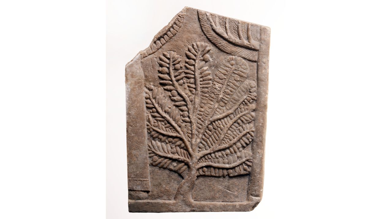 Reliëffragment uit Nineveh (Irak) met granaatappelboom, 669-627 v.Chr. Uit NINO-collectie.