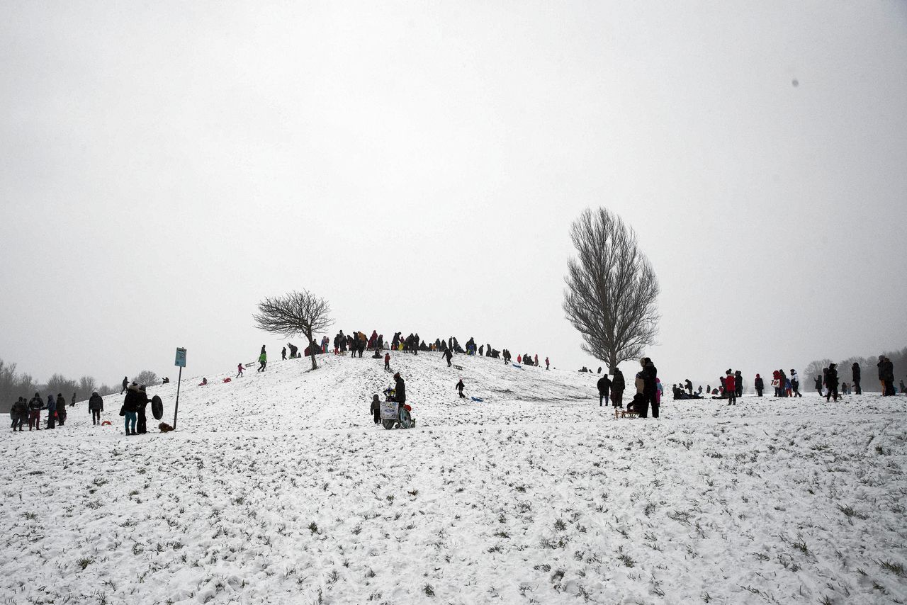 Sneeuwpret op een heuvel in Rotterdam. Veel mensen gingen zondag eropuit om te genieten van het dikke pak sneeuw.