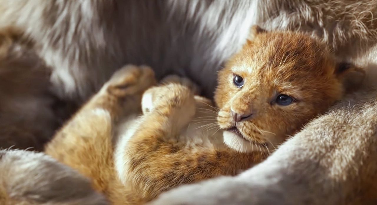 The Lion King, Simba wordt gepresenteerd in de teaser (2018).