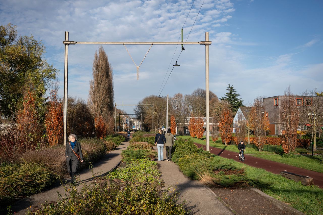 Urban Greening Stalls in Four Major Cities