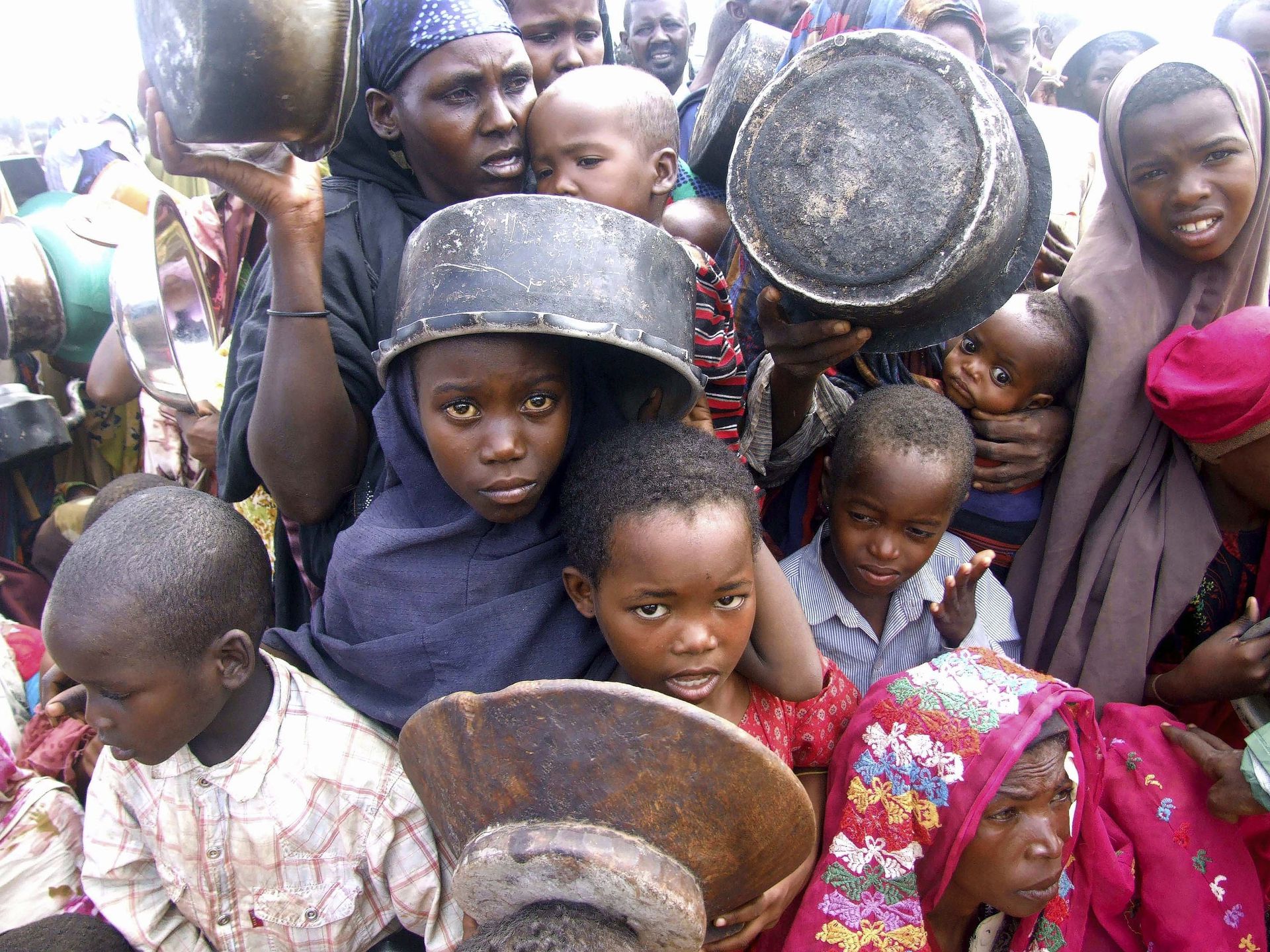 Голодающие народы африки. Куча голодных. Много кошек. Куча голодных. Голодающие дети африки третий мир.