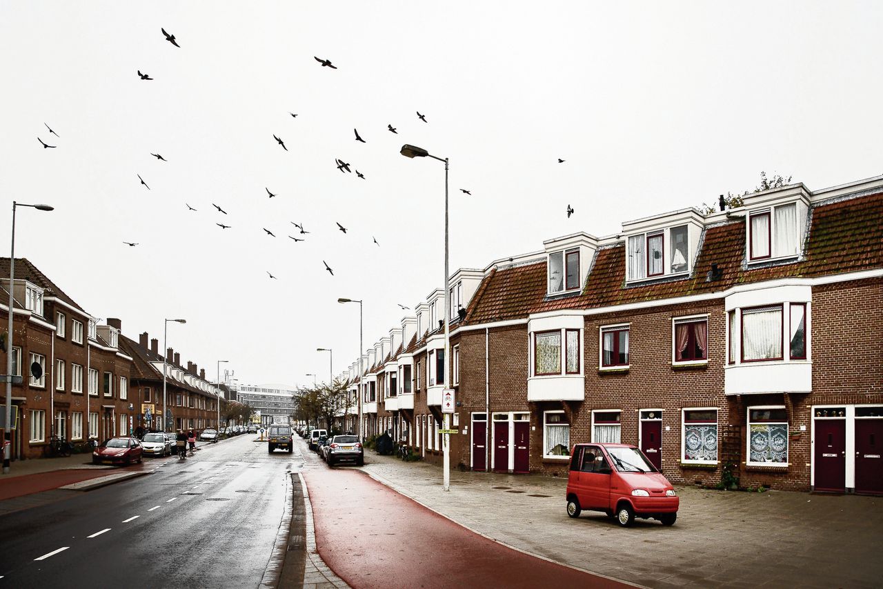 De Vogelbuurt in Amsterdam-Noord, waar de veelgeprezen documentaire Schuldig werd opgenomen, over mensen in diepe financiële problemen.