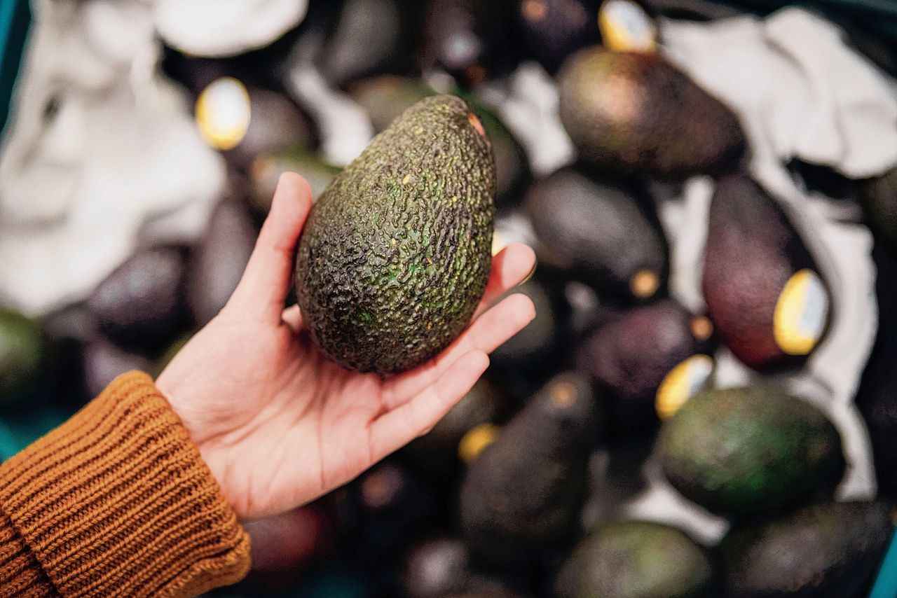 Het meest bevoeld en beknepen zijn ongetwijfeld de avocado’s.