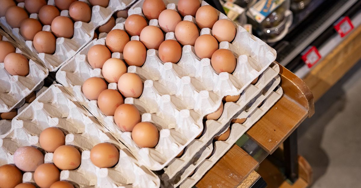 Belgische salmonella-eieren hebben in Nederland niet voor zieken gezorgd, zegt de NVWA
