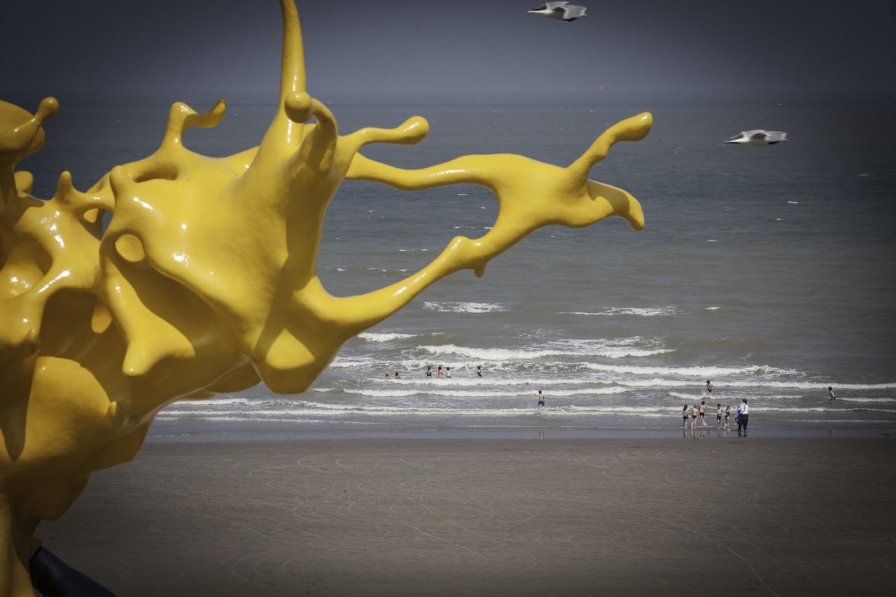 Tentoonstelling Beaufort aan de Belgische kust. Nick Ervinck "OLNETOP". Fotograaf: Wouter Van Vooren