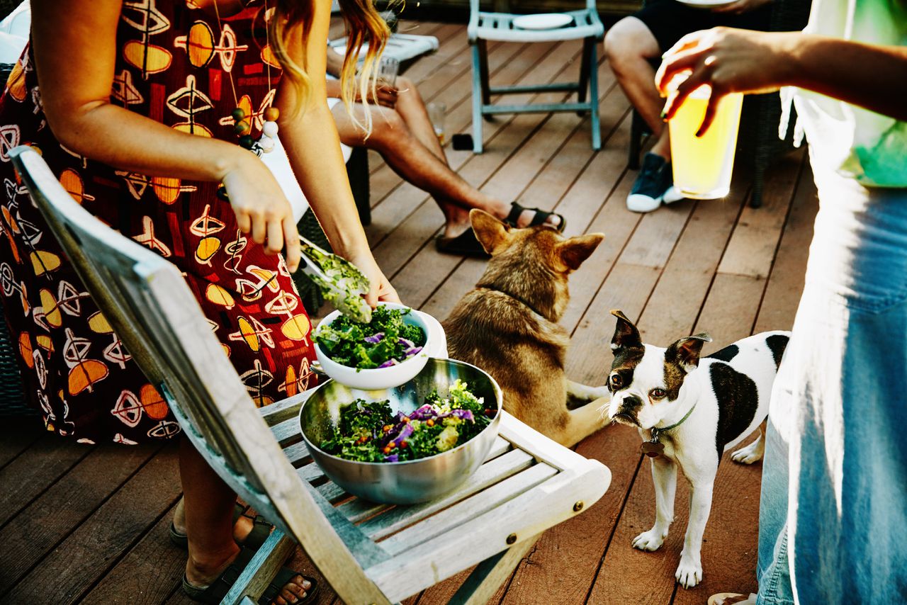 A dog also hears it when his name sounds among all kinds
