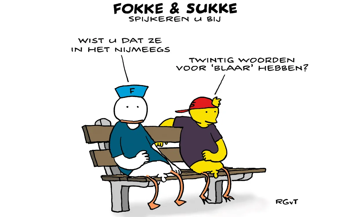F & S