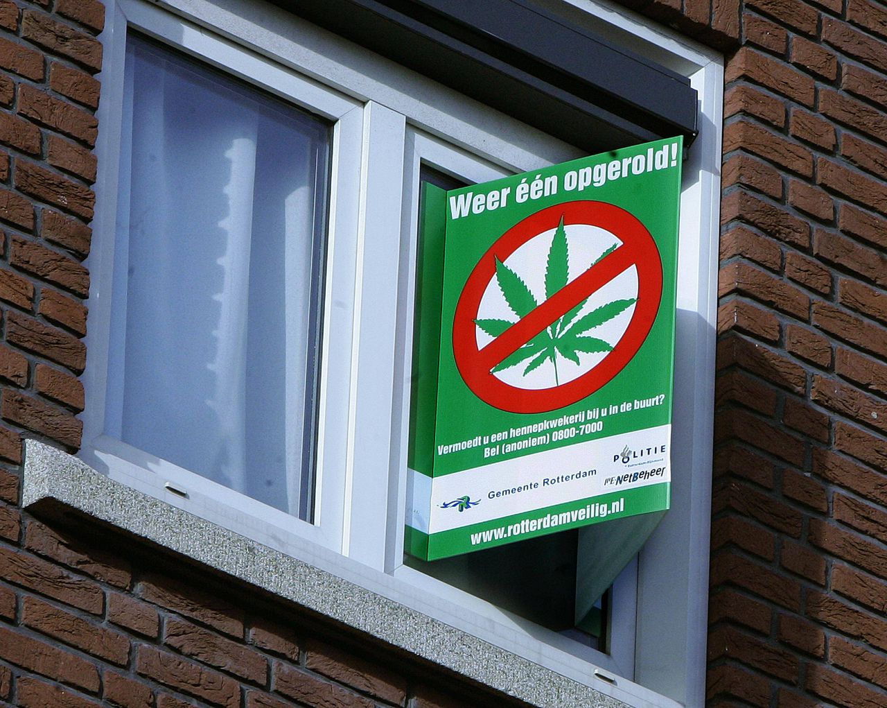 Een bord in het raam geeft de plaats aan van een ontmantelde hennepkwekerij in de Mijnsherenlaan in Rotterdam.