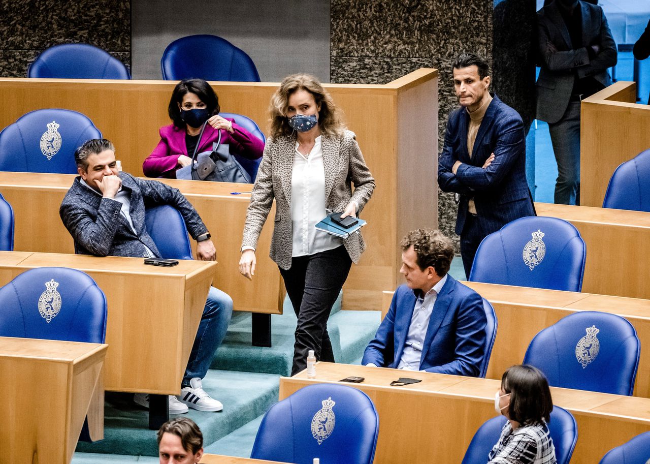 Kamervoorzitter Vera Bergkamp schrijft dat ‘incidenten’ zoals met Dion Graus „het aanzien van het parlement schaden”, maar weet niet of er verbeteringen nog nodig zijn.