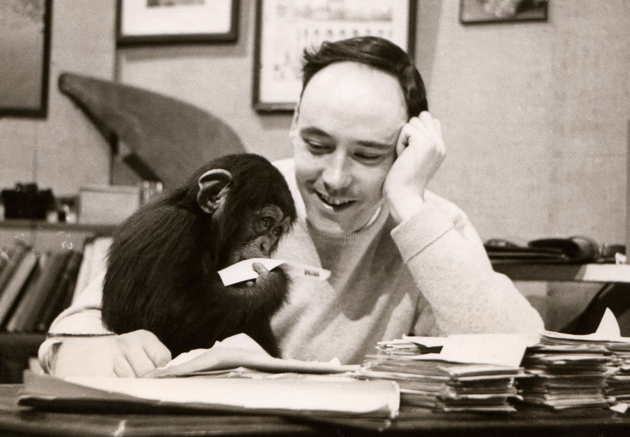 Desmond Morris and the Legacy of The Naked Ape