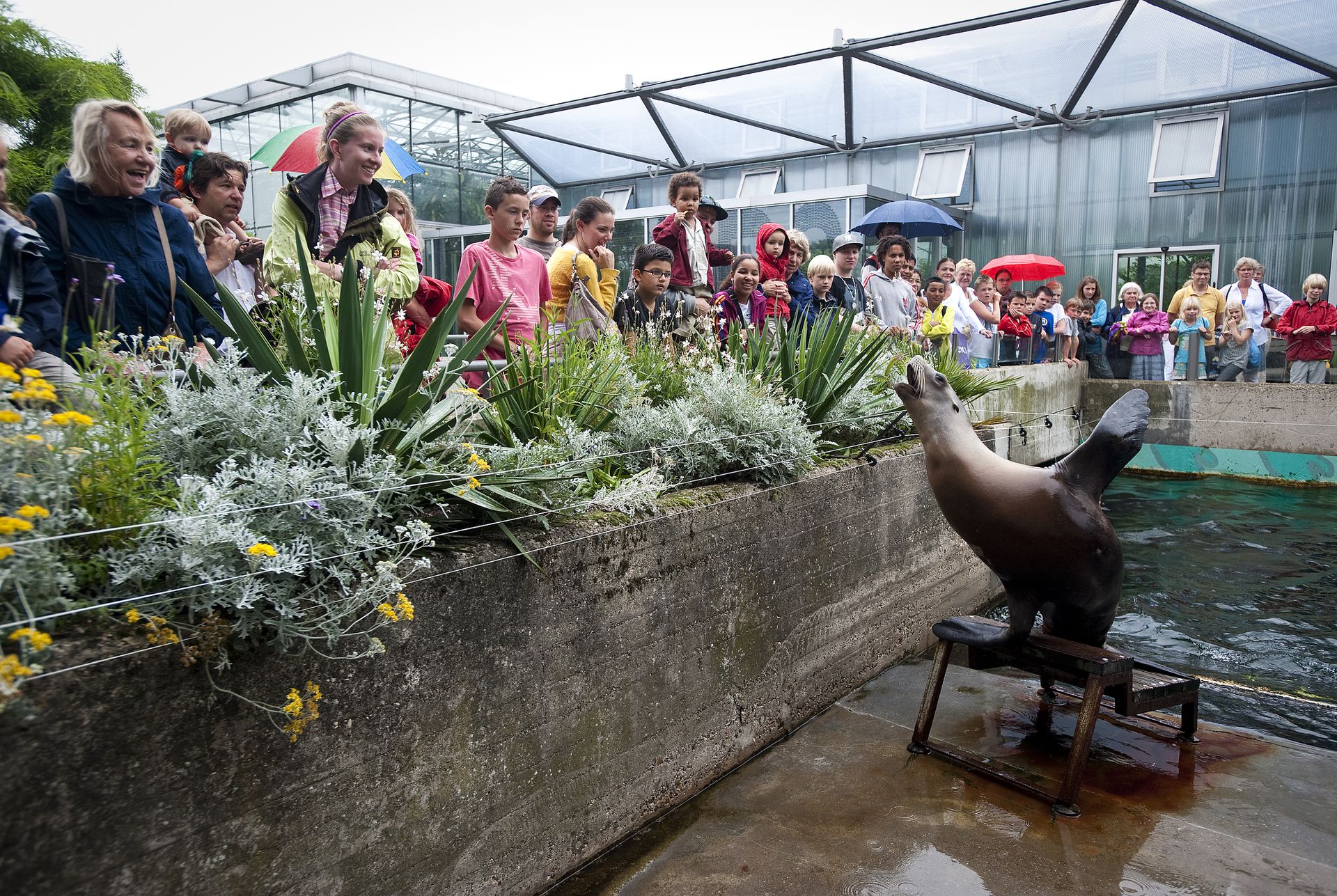 Alle dierentuinen sluiten, zegt de Partij voor de Dieren - NRC