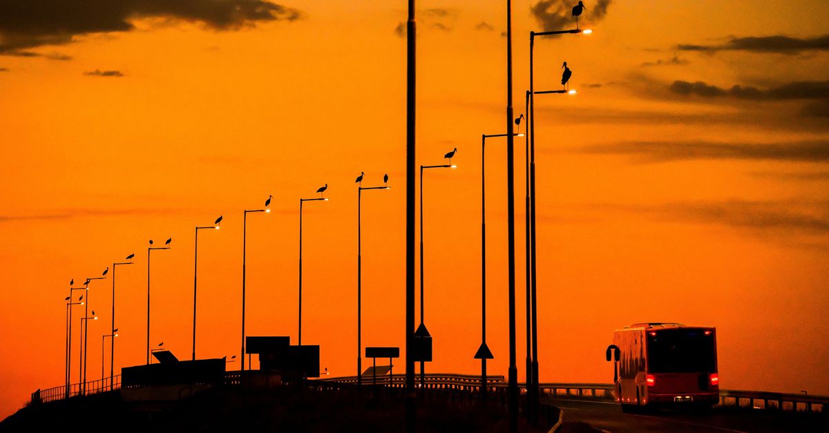 Elke lantaarnpaal langs de snelweg heeft zijn eigen ooievaar