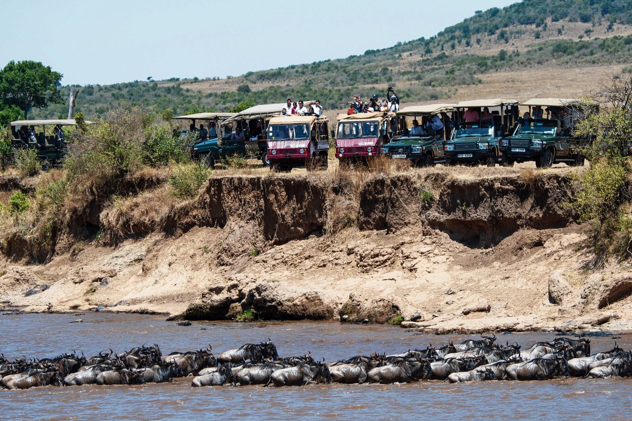 Toeristen staan op de uitkijk bij de door de aanwezigheid van krokodillen gevaarlijke oversteek van gnoes door de Mara-rivier in het Keniaanse wildreservaat Maasai Mara.