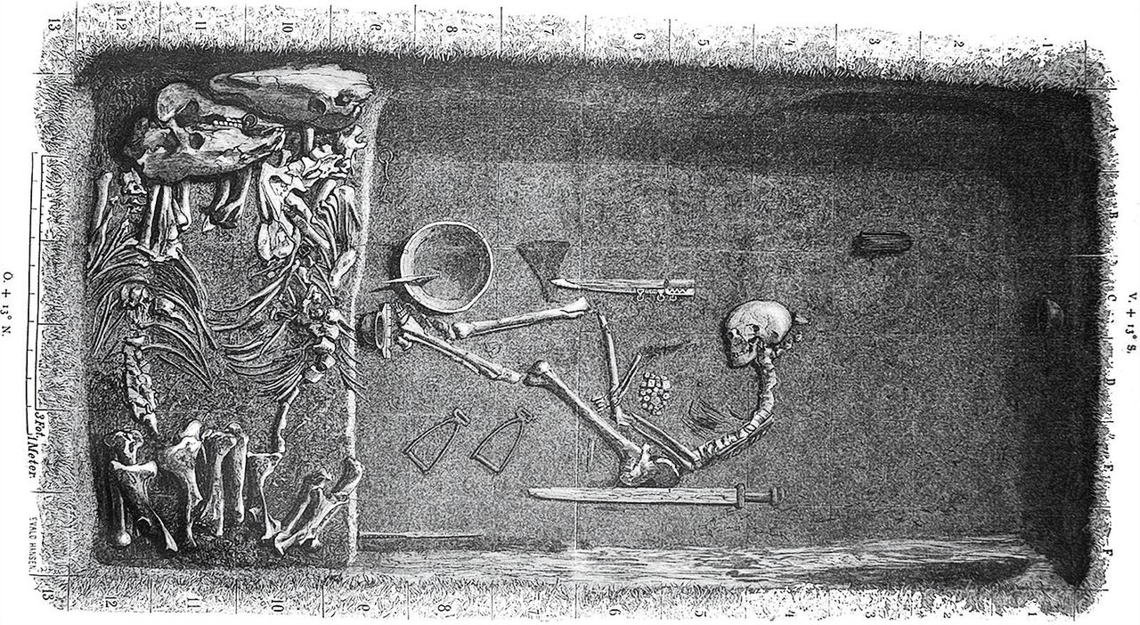 Tekening door Evald Hansen uit 1889 van het graf van de vikingstrijder met onder meer wapens en twee paarden. De viking in het graf blijkt nu een vrouw te zijn.