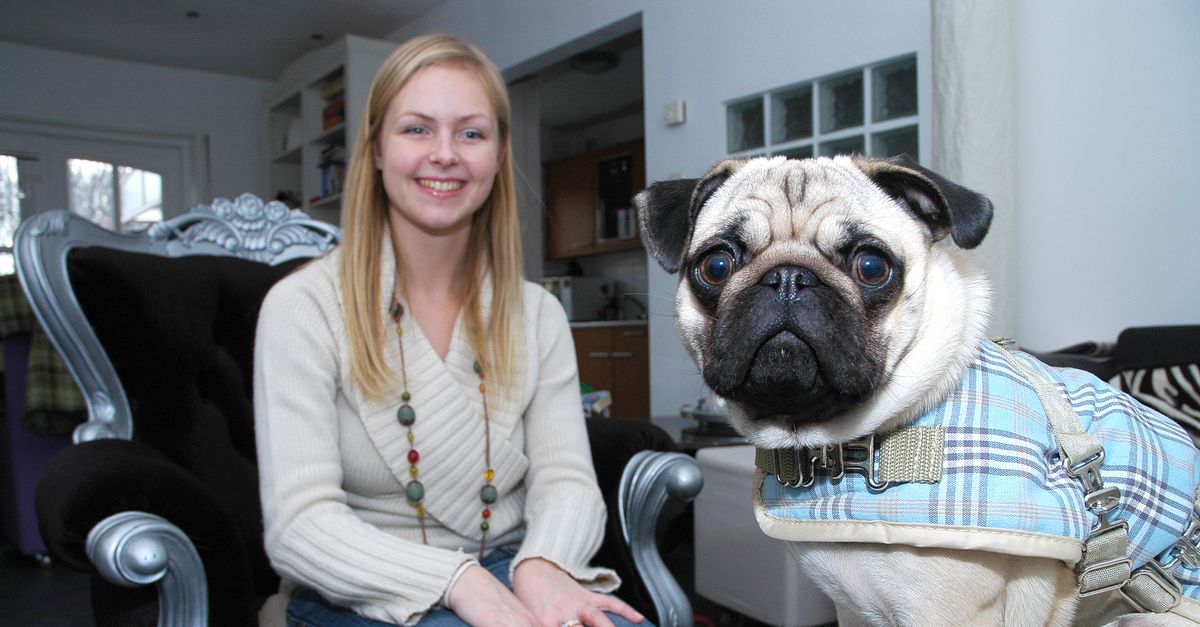 Een Burberry Voor De Hond Nrc