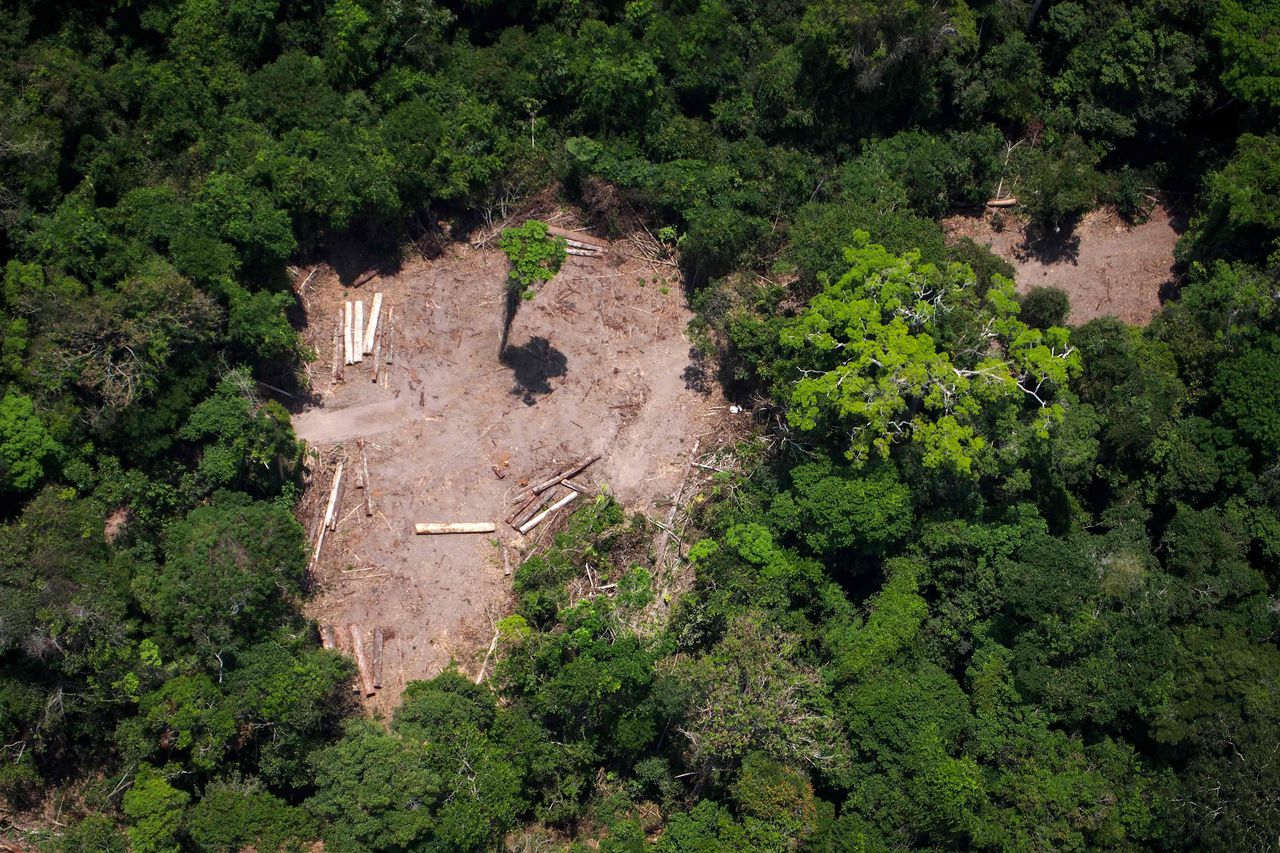 Een luchtfoto van een plek in het Amazone-woud waar illegaal bomen zijn gekapt.