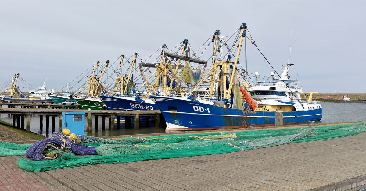 Brussel schiet vissers te hulp met geld uit verduurzamingspot