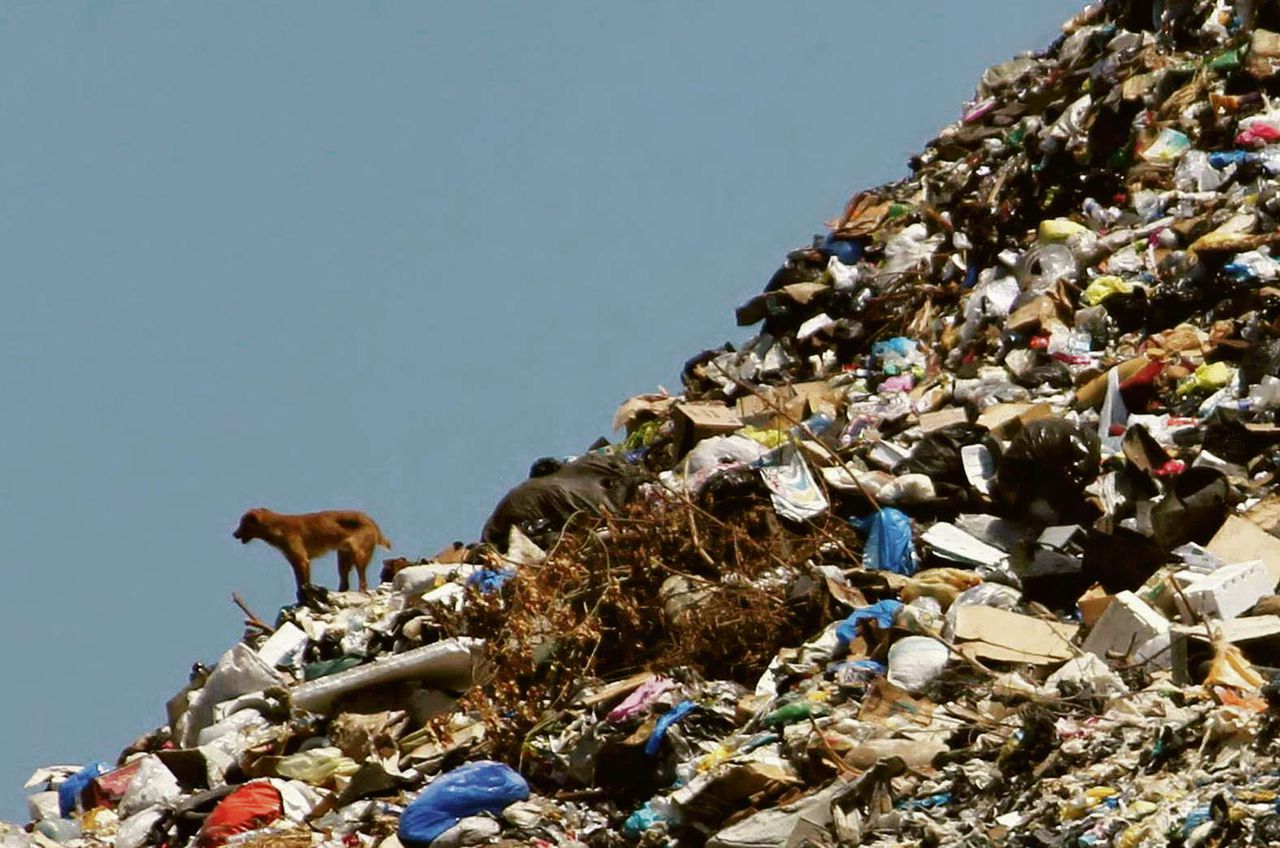 Aan de randen van menselijke nederzettingen stapelden zich afvalhopen op, met voedselresten.