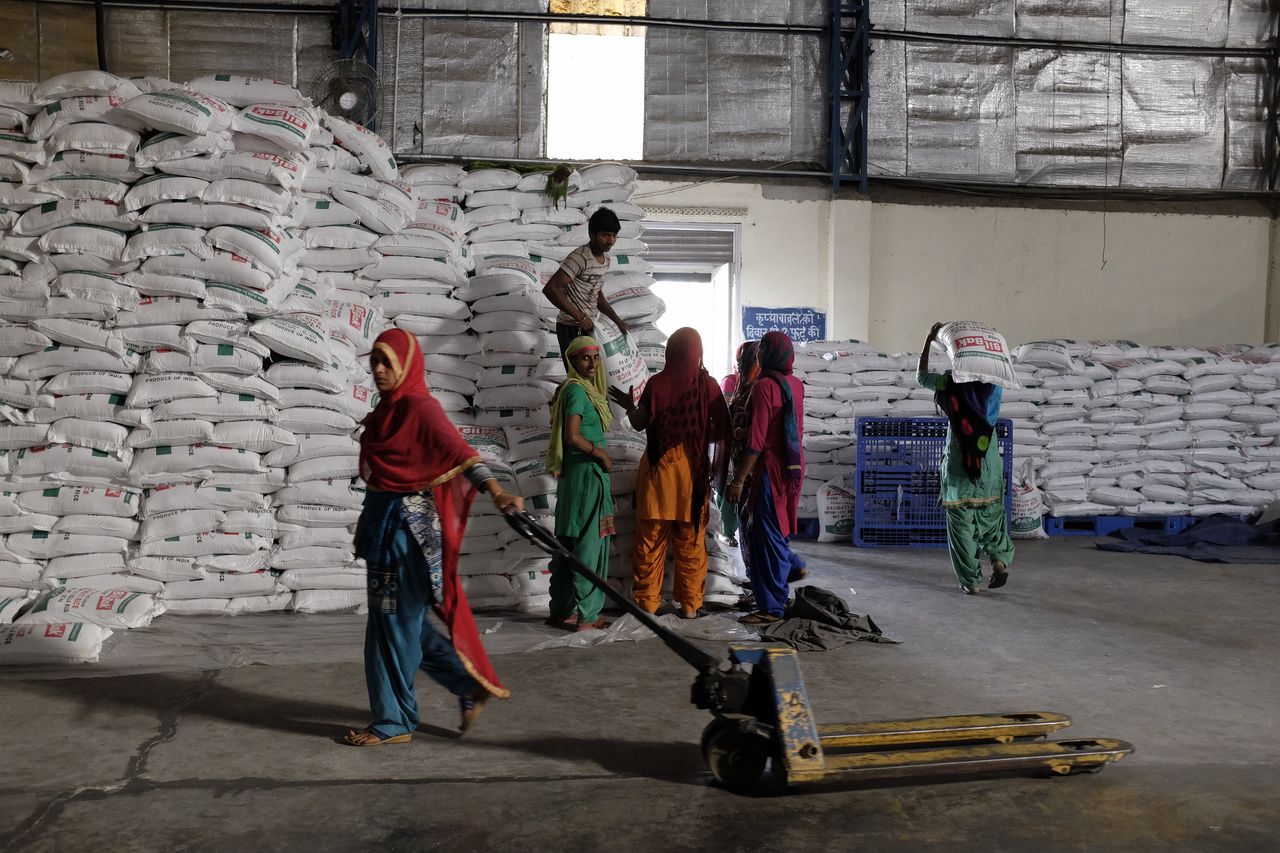 Indiase boeren telen graag rijst en tarwe, omdat de overheid minimale prijzen garandeert