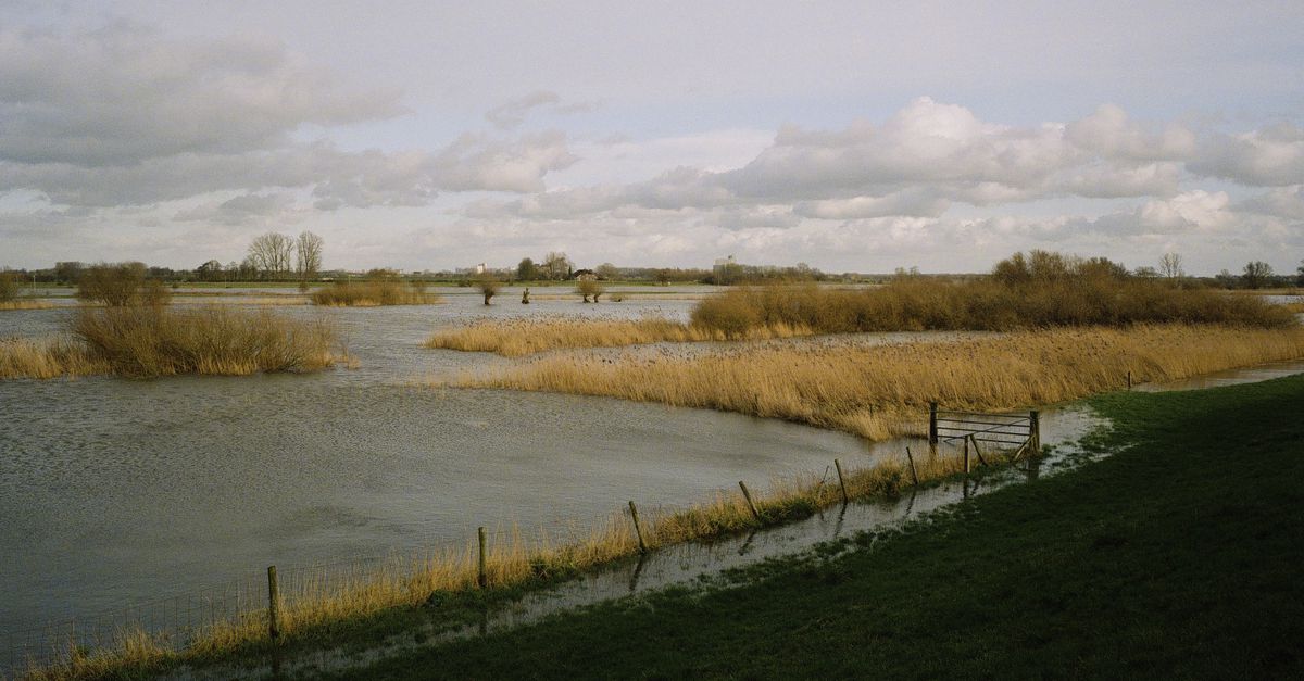 De nieuwe kustlijn van Nederland - NRC